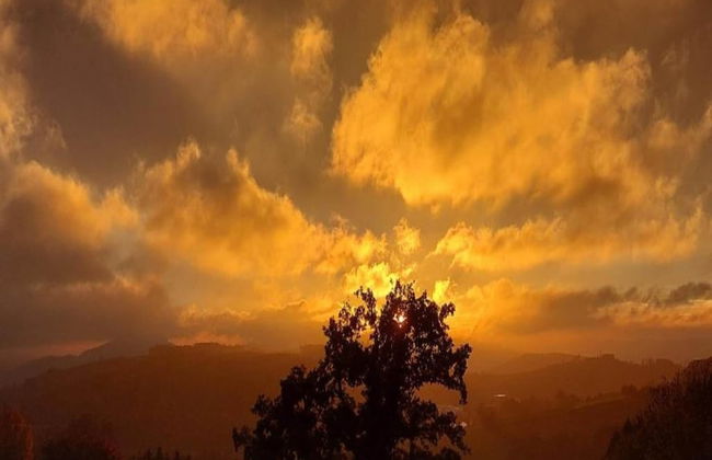 Garden Escape, Kleinwinklarn - Foto 32