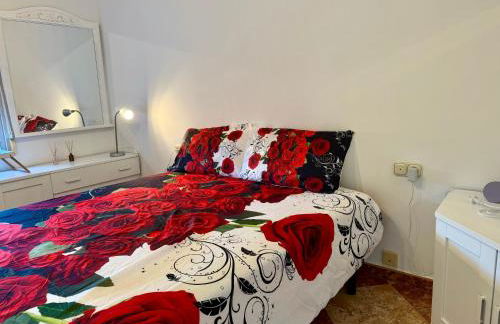 La Casa del Flamenco - Foto 29