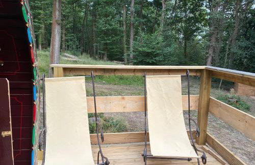 2 Guests - Pet Friendly - Traditional Gypsy Vardo - Foto 30