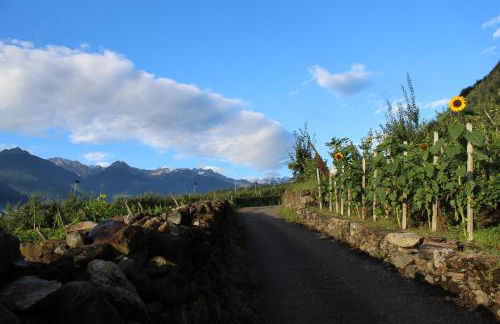 La Vita in Campagna - Foto 47