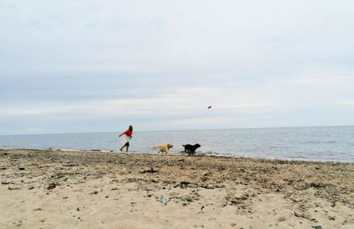 Hof am Meer "Seerose" - Foto 16