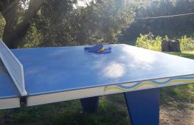 Mas Roquet - Foto 33