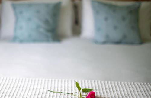 Magnolia Cottage - Foto 34