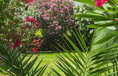 Apartmani Manuela Ljubač - Foto 26