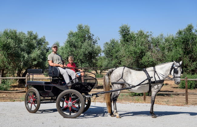 Casa do Governador - Photo 51