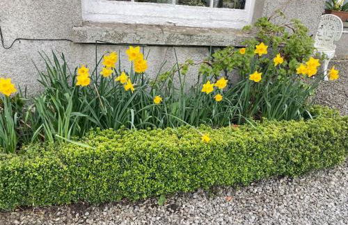 Top Floor at Cantref House - Photo 11