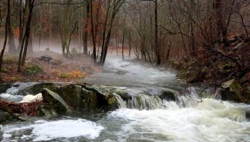 Zen River Retreat - Foto 2