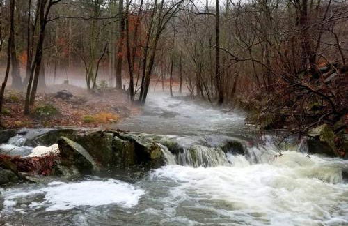 Zen River Retreat - Foto 2