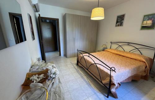 Il Volo del Nibbio - Foto 14