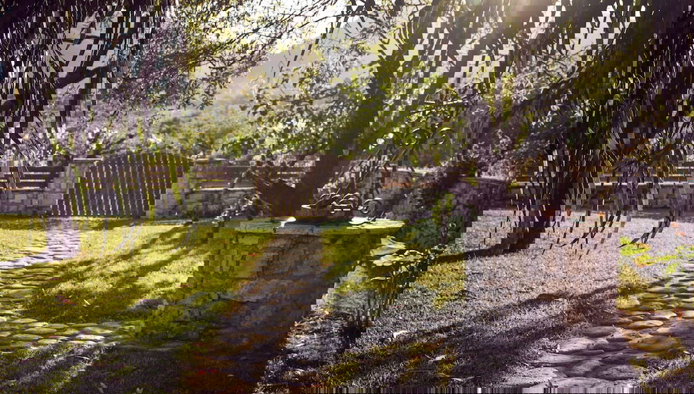 Entrada (vista interior)