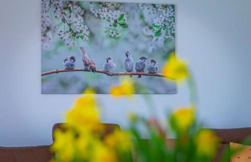 Apartment Spatzennest 86 qm by Interhome - Foto 12