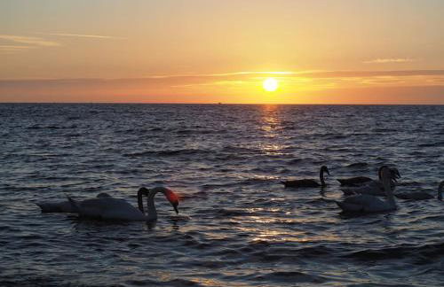 Le Rayon Vert - Gite 4 personnes à 400 m de la mer - Foto 24
