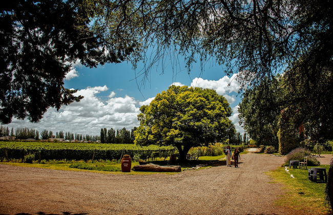 Lodwine Lodges - Foto 19