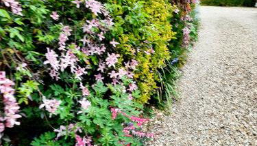 Ivy House Barn, Heckington - Foto 4, Garden