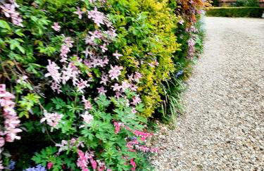 Ivy House Barn, Heckington - Foto 4