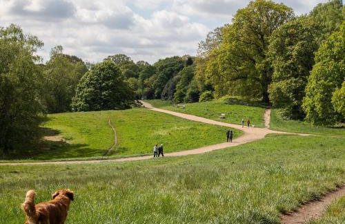 Amazing holidays home with a terrace - Foto 35