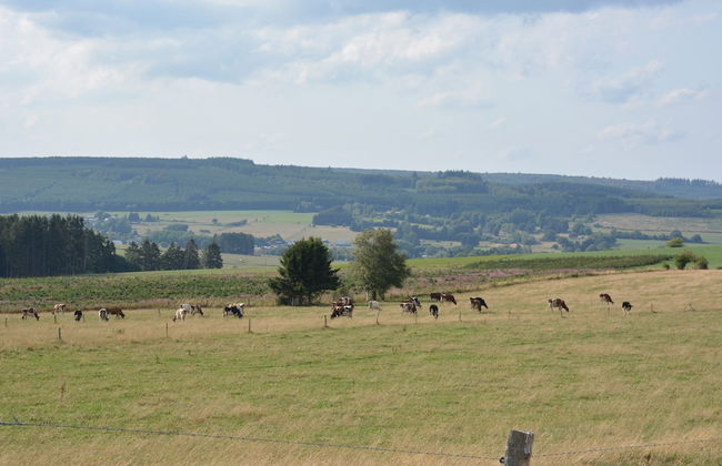 Child Friendly Holiday Home in Bouillon near River - Foto 37