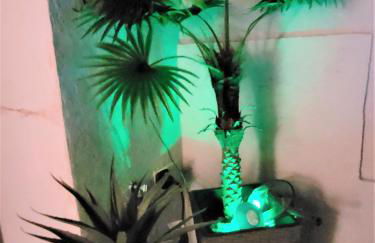 "Rooftop One" jacuzzi - plein sud - 2 chambres sur les canaux - Foto 25