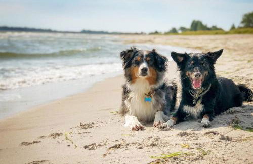 Apfelgarten - Foto 23