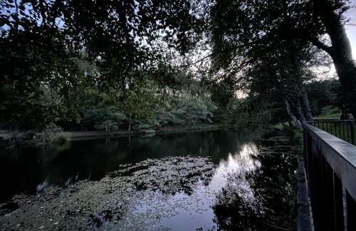 Casa do Bairro Alto - Foto 20