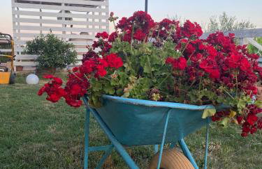 Villa Verde - Photo 15