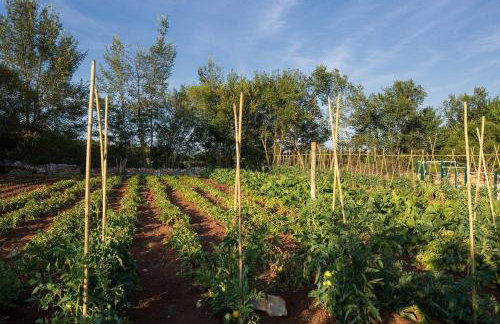 Villa Elena u Ladicima for 8 people with private pool & sports complex in Central Istria - Foto 30