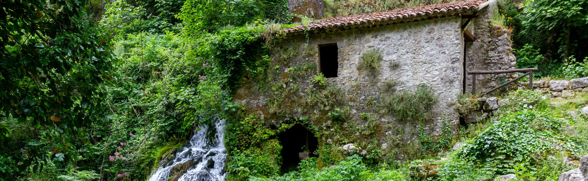 Morigerati Oasis Excursion