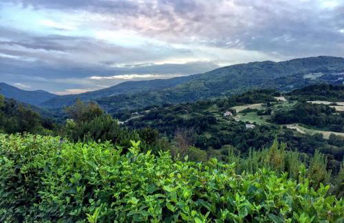 Agriturismo Le Cerinaie - Foto 17