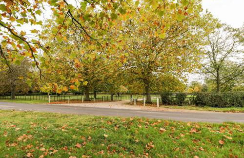 The Old Swill House - Foto 26