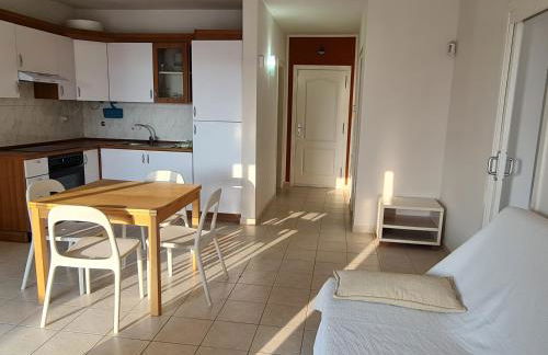 Estrella del Sur - Foto 6