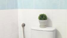 NATASIA STUDIOS - Photo 5