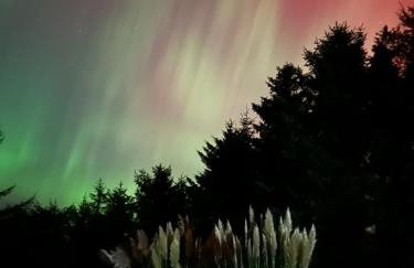 Forest Path luxury Studio Apartment with large bedroom bathroom and sauna Sleeps up to 4 - Photo 29