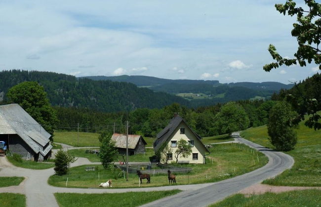 Holiday Apartment Tannenblick - Foto 13