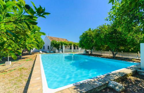 Huerta la Pimentada - Foto 43