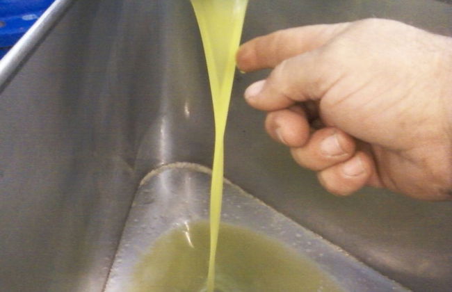 Duplex Apartment Close The Countryside Of Rome 5 - Foto 5