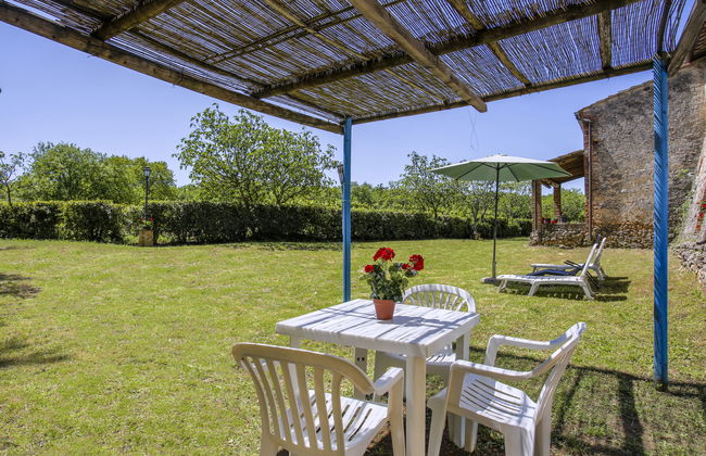 Fattoria Petraglia - Cedro - Foto 36