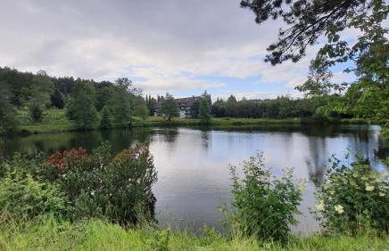 Ferienwohnung Seeblick mit Balkon - Mein Schwarzwaldhäusle - Foto 38