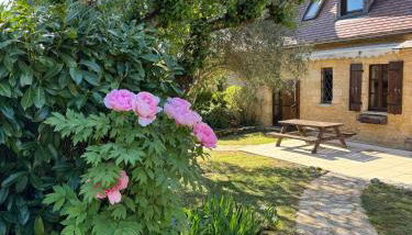 The Lion House - Foto 4