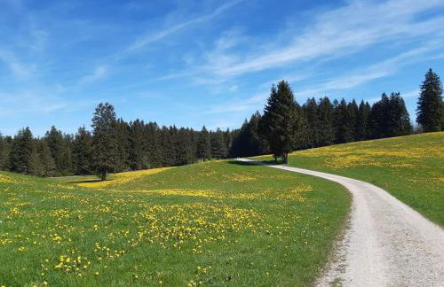 Ferienwohnungen beim Sommermader - Foto 44