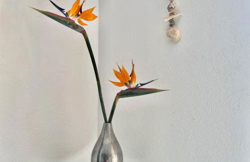 Stylish house in a real Finca with private garden - Photo 17