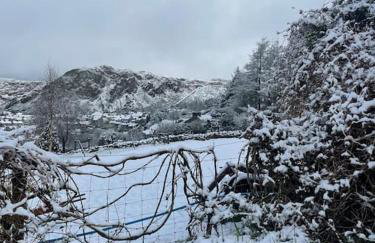 Pen-Y-Bryn Cottage - Foto 3