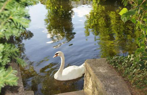 Ferienhaus Brenzblick - Foto 29