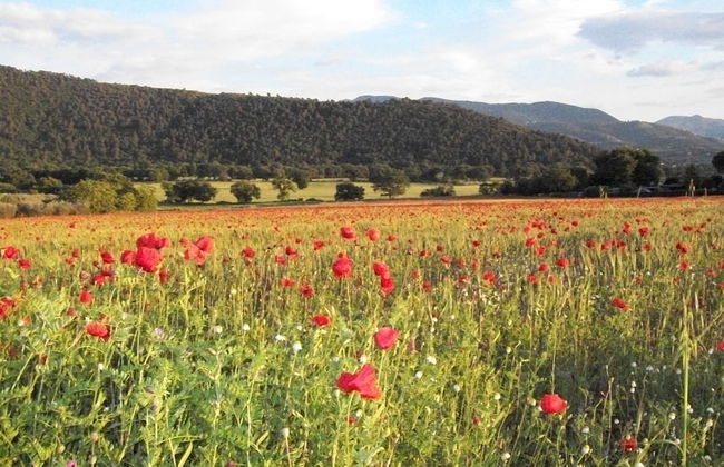 Agriturismo Il Casalino - Foto 29