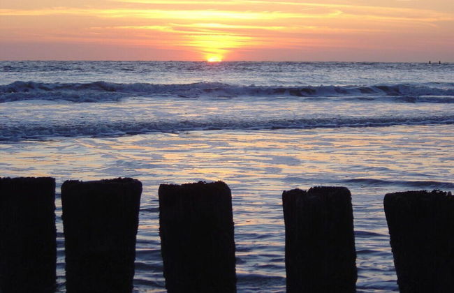 Schelphoekje Modern Retreat - Photo 16