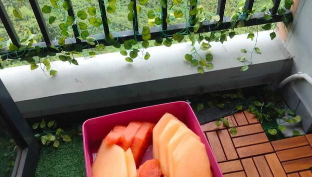 Terraço/pátio interior