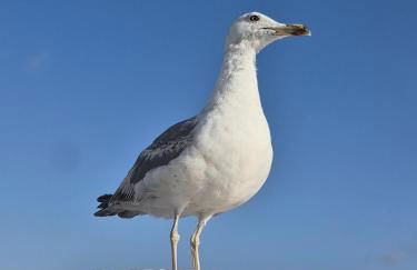 Casa Secreta - Foto 43