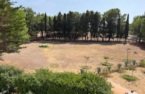 Masseria La Camardia - Foto 131