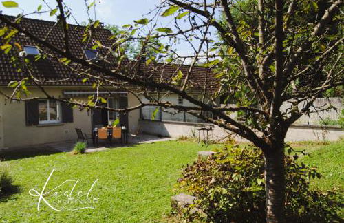 Maison 3chambres aux portes de la Champagne - Foto 2