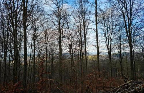 Quaint Bungalow Near Insel Poel With Garden - Foto 44