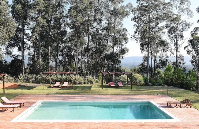 Vumba - The Alembic - Foto 25